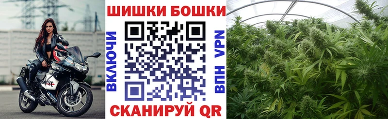 Бошки Шишки сатива Собинка